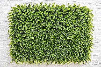 《苏醒之路》延期至12月7日steam发售 2024年登Switch