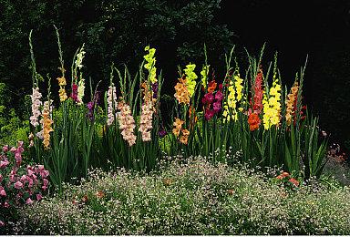 《影子战术：将军之刃-爱子的选择》在2021年游戏展上首次展示游戏画面